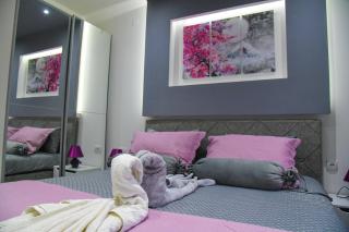 Apartman Nina - Sremska Mitrovica - 7