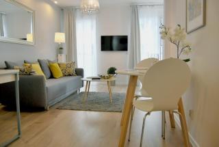 TWO TOWERS Old Town Apartments-City center-by the river-observation terrance on the roof-free parking - 9