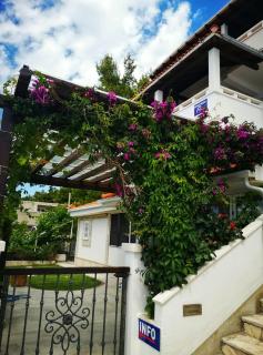 Apartments Fani - Brela - 6