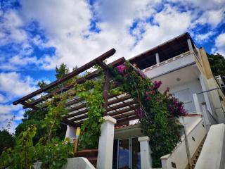 Apartments Fani - Brela - 7