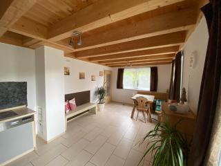 Ferienhaus Plattenstein - Kirchberg - 4