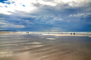 Le Yearling - Deauville - 2