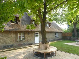 Koopmanns-Hus - Immenstedt - 9