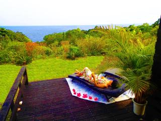 森のフェアリー Cottage Morino Fairy All cotage with open-air bath with sea view or river view - Yakushima - 5