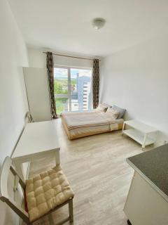 Cozy Studio near the center of Cluj - Cluj-Napoca - 0