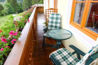 Apartements Richlegghof - Filzmoos - 4
