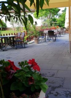 Landhotel Schuff - Kindsbach - 7