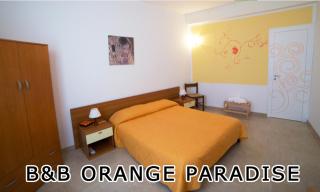 Orange Paradise b&b - Custonaci - 5
