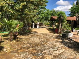Vivienda Turística La Huerta - Guadalcanal - 6
