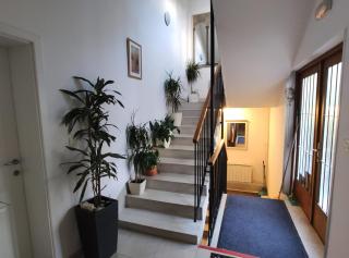 Ivana Apartman 2 - Crikvenica - 5