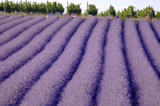 Apartmán Starovičky 406 - 8