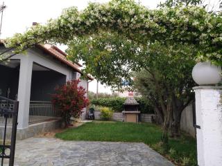 Vicky's - Ofrinion - 4