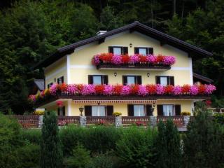 Haus Ebner - Sankt Gilgen - 2