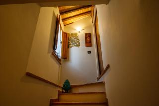 Bed & Breakfast Zocco - San Martino in Campo - 4