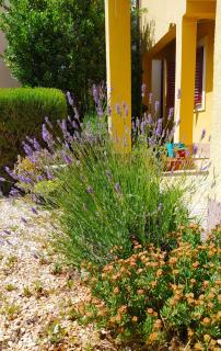 Apartmani Lučica 2 - 6