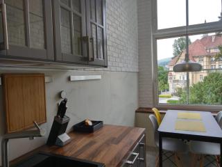 Apartament Zdrojowa 45 - Kudowa-Zdrój - 1