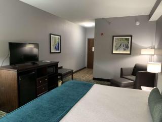 Best Western Plus Olive Branch Hotel & Suites - Olive Branch - 3