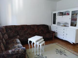 Apartman Tara - Vrdnik - 0