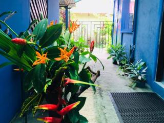 Green Macaw Hostel - Tortuguero - 5