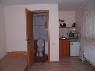 Rooms for Rent near Vilnius - 1