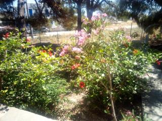 Little Stone House near the Beach - Agios Ioannis - 3