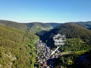 Landhotel Zum Hirsch - Unterweißbach - 1