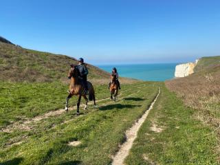 Domaine Equestre Etretat - Le Tilleul - 0