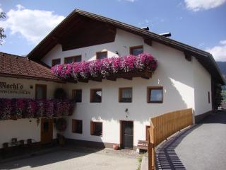 Machls Ferienwohnungen - Jerzens - 2