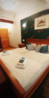 Privathotel Der Schwarze Herrgott No TV - 9