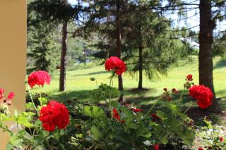 Hotel President garni - 7