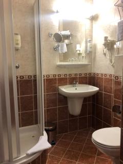 Wellness Hotel Step - Czech Leading Hotels - Prag - 9
