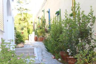 Carolina Apartments Crete - Agia Pelagia - 7