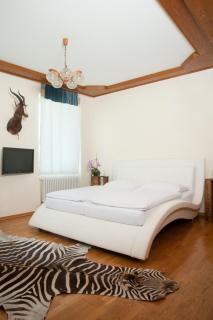 Hubertushof Fromwald Hotel und Gasthof - Bad Fischau - 2