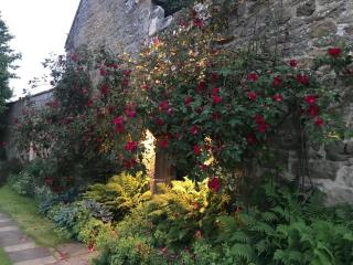 Shortflatt Tower Wings - Bolam - 6