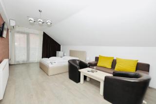 Casa Golopența - Băile Herculane - 3