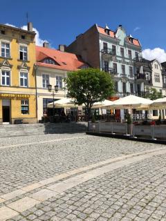 Hotel City - Gniezno - 6