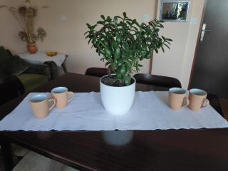 Apartment Viktorija - Osijek - 1