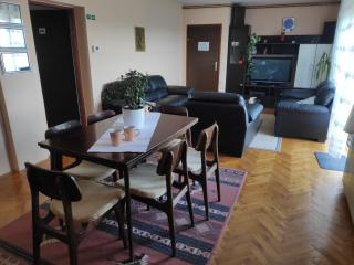 Apartment Viktorija - Osijek - 3