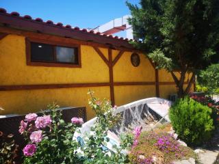 İntepe Poseidon - 2