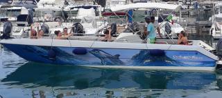B&B Mediterraneo - Cetraro - 6