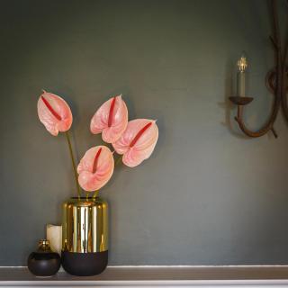 Blakeney House - Blakeney - 2