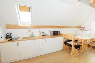 Apartamenty Toporowe Domki - Witów - 1