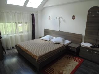 Eden Maison - Slănic-Moldova - 5