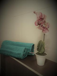 APARTIA Skořepka, Brno-centrum - 2