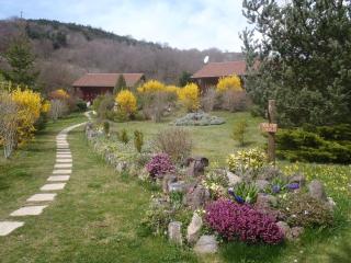 LES CHALETS DE LA VIGNE GRANDE - Saint-Floret - 9
