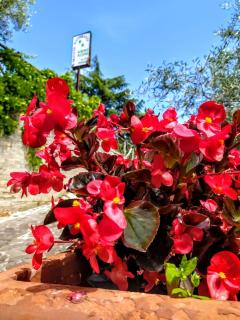 L'Oliveto - Cineto Romano - 7
