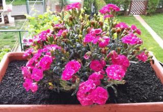 Affittacamere Giada - 1