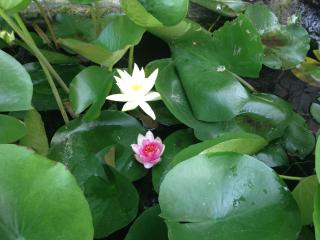 Michael's Apartment's - 1