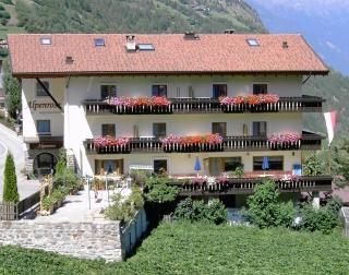 Alpenrose - Martello - 9