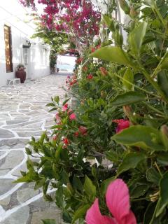 Mare Monte - Ios Chora - 2